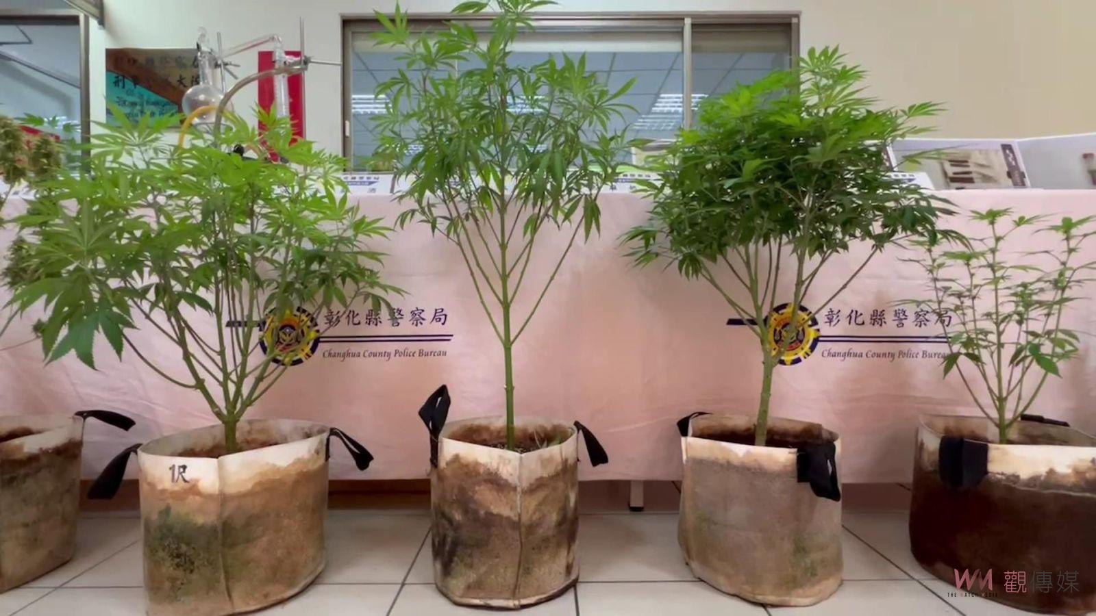 影／彰警搗破大麻工廠！驚見栽種大麻萃取液　運、產、銷一把抓 - https://www.watchmedia01.com