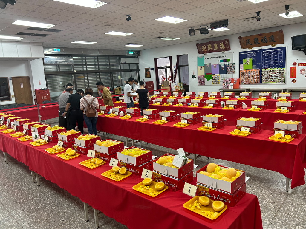 埔心鄉農會辦理金蜜芒果評鑑 選王封后為優鮮行銷增底氣 - https://www.watchmedia01.com