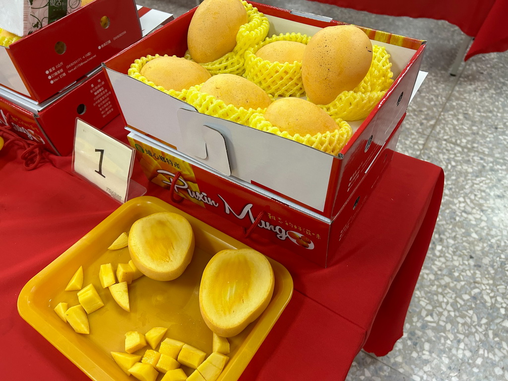 埔心鄉農會辦理金蜜芒果評鑑 選王封后為優鮮行銷增底氣 - https://www.watchmedia01.com
