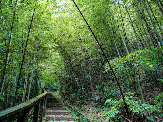 翁章梁推薦嘉義2大賞瀑景點及6條步道　邀來嘉消暑 - https://www.watchmedia01.com