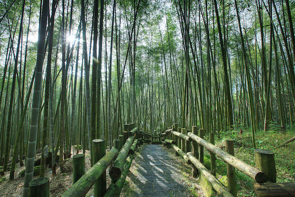 翁章梁推薦嘉義2大賞瀑景點及6條步道　邀來嘉消暑 - https://www.watchmedia01.com