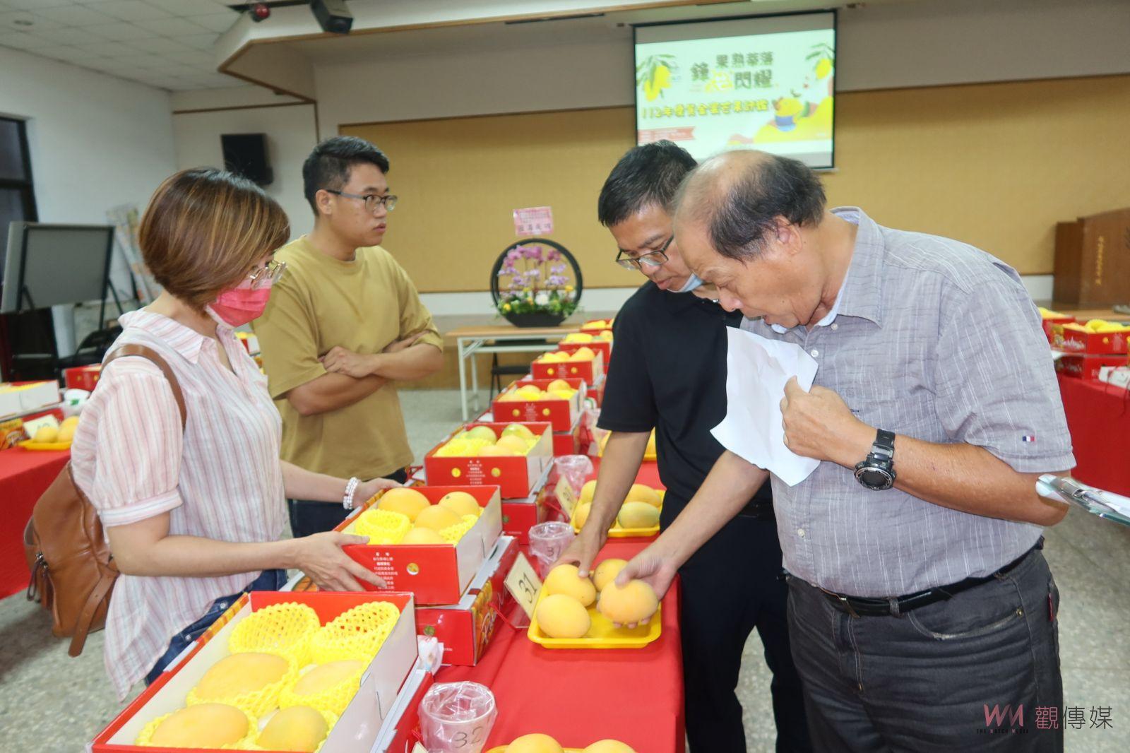 影／選王封后！彰化縣112年優質金蜜芒果評鑑　專家學者觀顏察色 - https://www.watchmedia01.com