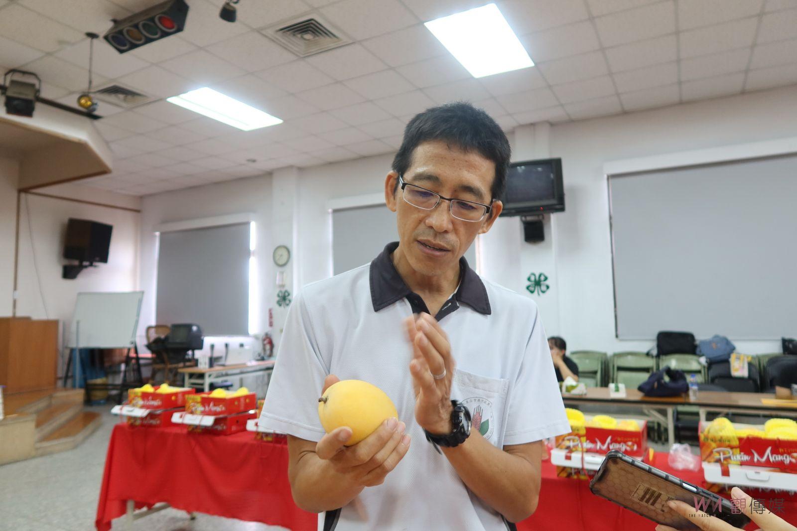 影／選王封后！彰化縣112年優質金蜜芒果評鑑　專家學者觀顏察色 - https://www.watchmedia01.com