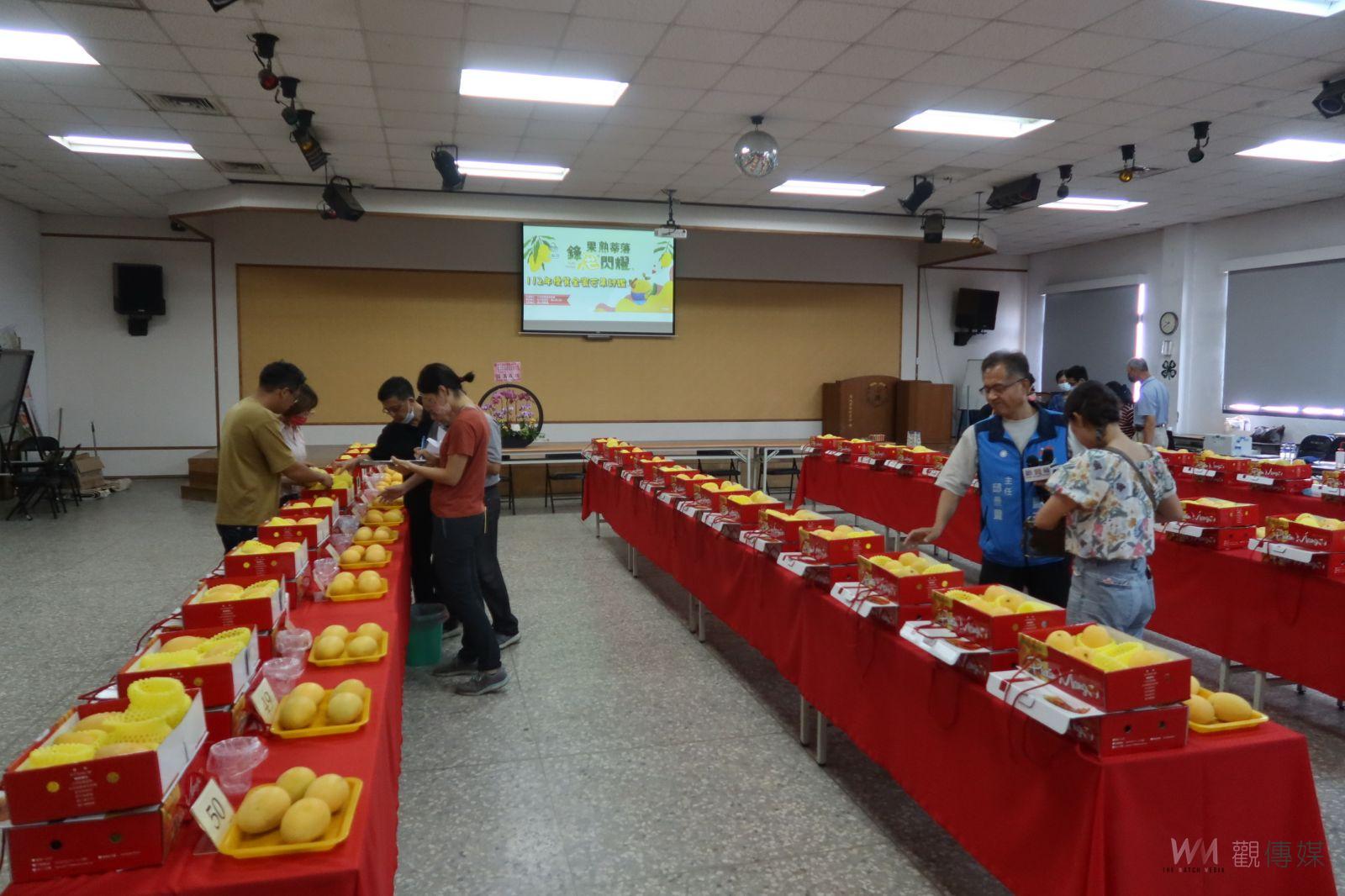 影／選王封后！彰化縣112年優質金蜜芒果評鑑　專家學者觀顏察色 - https://www.watchmedia01.com