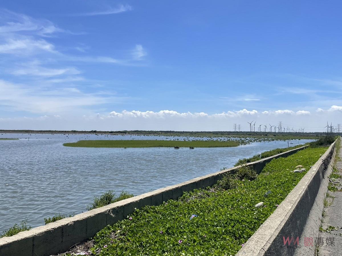 台塑著手疏伐濁水溪紅樹林 與雲林縣政府、第四河川局共同為台灣旱招潮蟹發聲 - https://www.watchmedia01.com