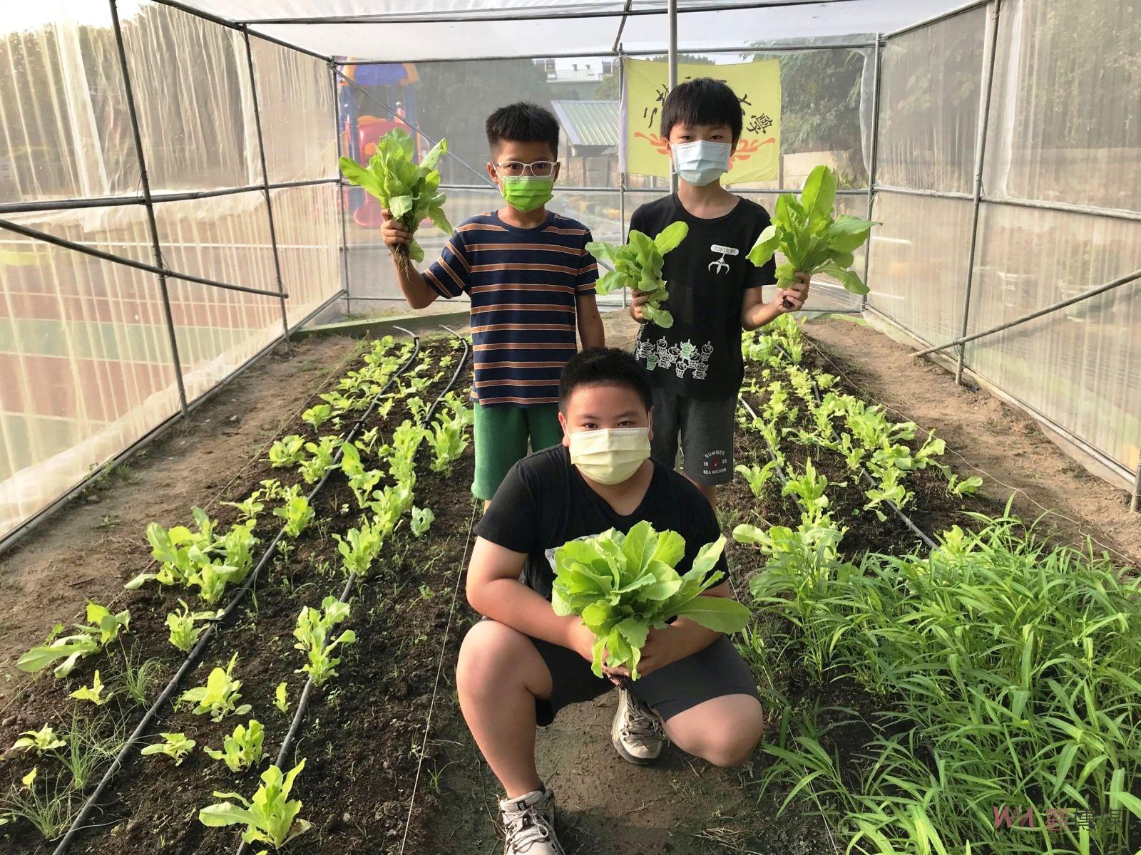 112年競爭型食農教育 12所國中小學獲選補助300萬元 - https://www.watchmedia01.com