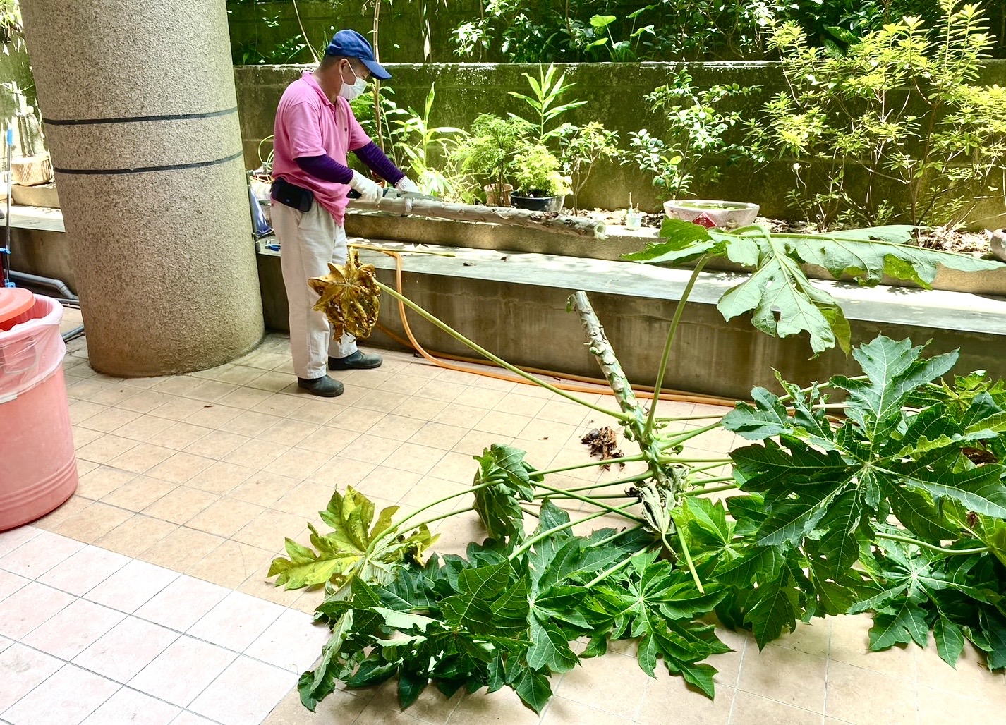 中颱杜蘇芮颱風來勢洶洶 中市各區公所嚴密戒備 - https://www.watchmedia01.com