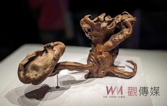 故宮南院新推人氣國寶展 古木松柏奇姿書畫 88節開展 - https://www.watchmedia01.com