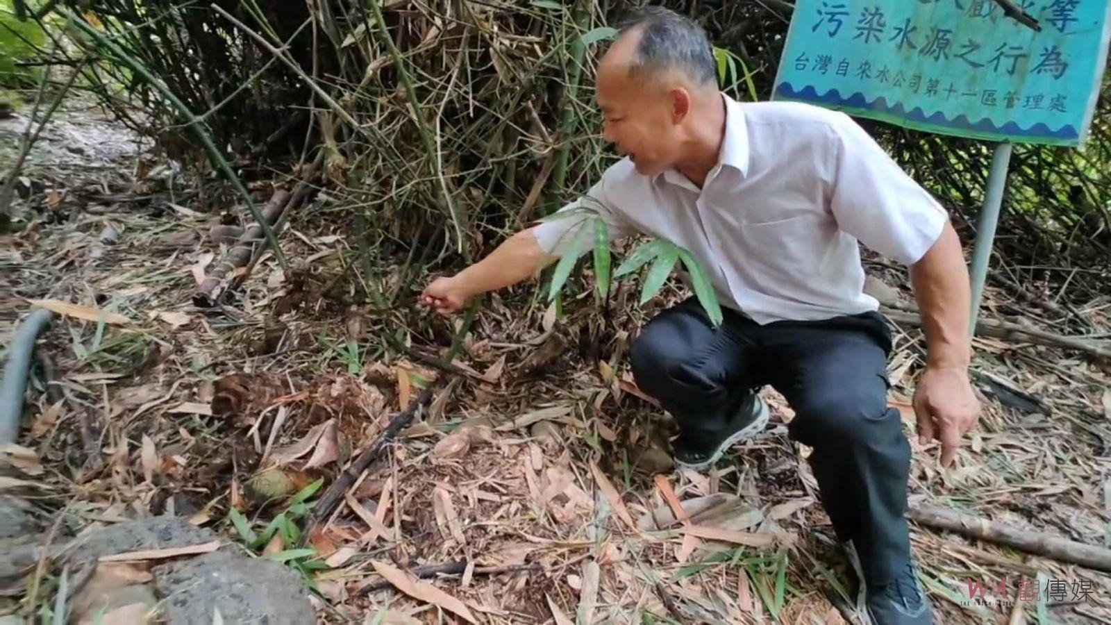 影／是放生還是殺生？社頭十八彎古道水源保護區逾千隻鵪鶉遭棄置 - https://www.watchmedia01.com
