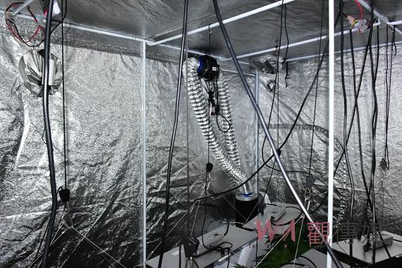 科技設備工程師異想天開住屋溫室種麻 嘉縣刑警大隊數日埋伏跟監聯合破獲 - https://www.watchmedia01.com