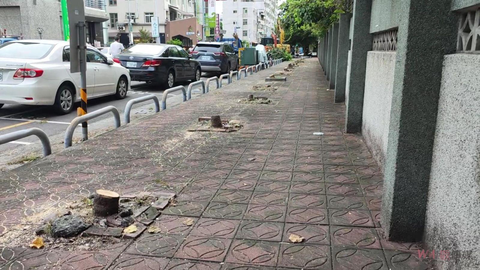 影／修樹變砍樹！崇實高工圍牆25棵行道樹遭「斷頭」　手法太粗暴 - https://www.watchmedia01.com