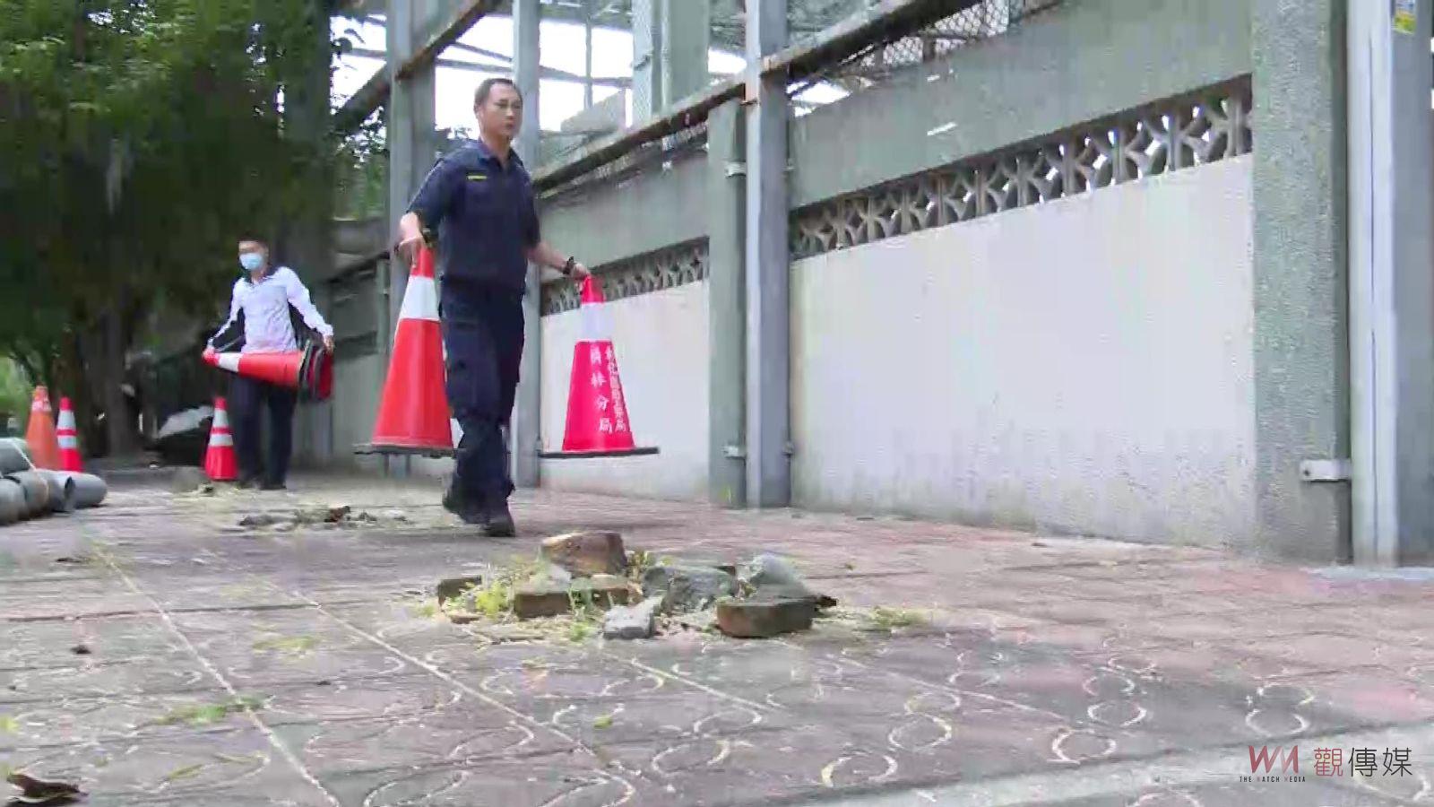 影／修樹變砍樹！崇實高工圍牆25棵行道樹遭「斷頭」　手法太粗暴 - https://www.watchmedia01.com