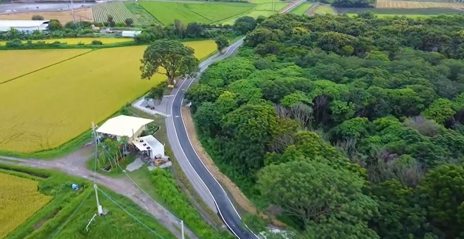 騎孔明車暢遊！MOOVO進駐彰化糖鐵國家綠道搶先體驗 - https://www.watchmedia01.com