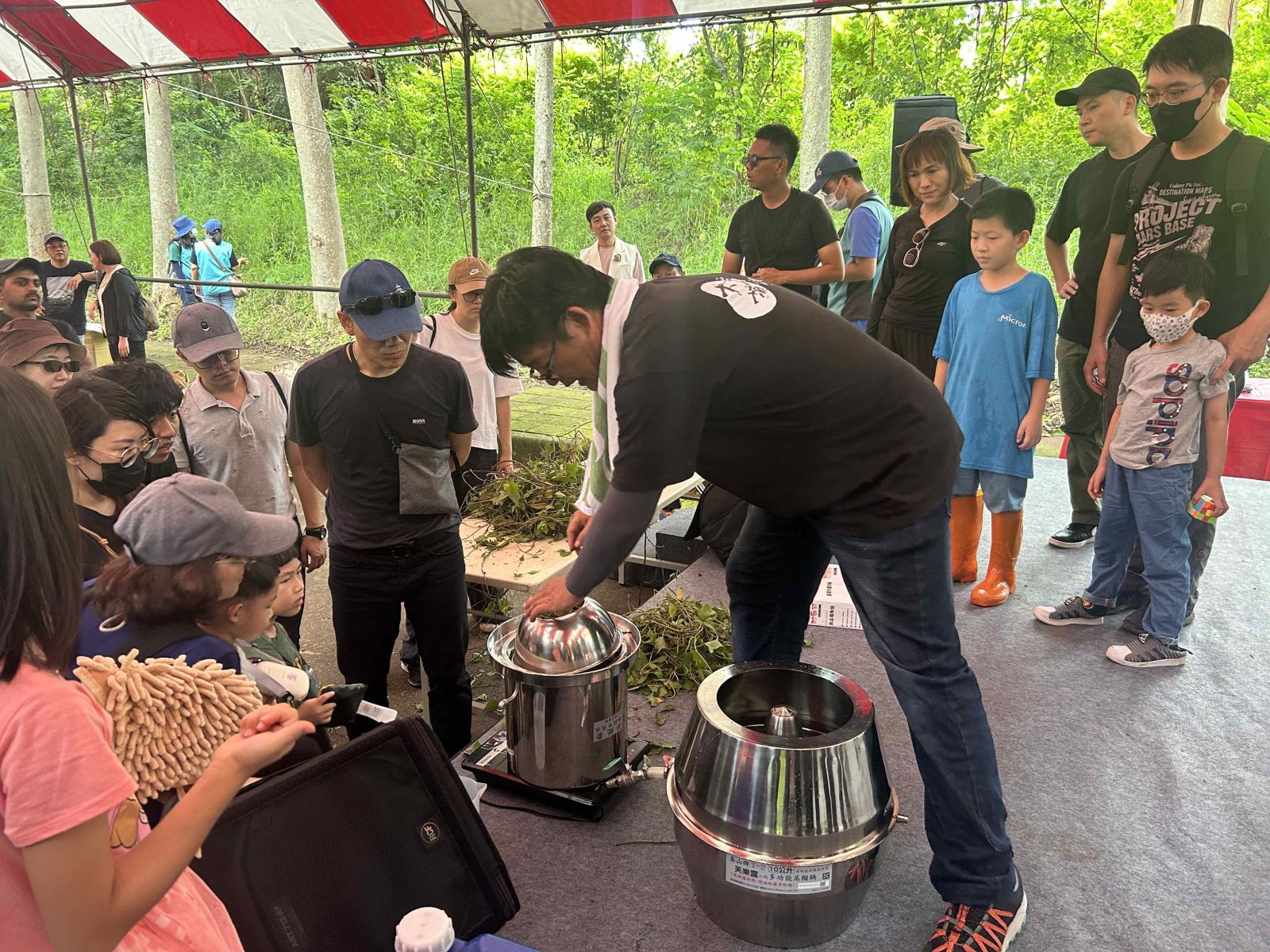 小花蔓澤蘭移除派對 中市府加碼除蔓收購金 - https://www.watchmedia01.com