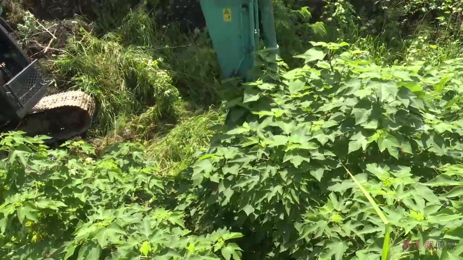 影／疏濬出「怪」招！怪手夾廢棄床墊彈簧野溪河床快速除草 - https://www.watchmedia01.com