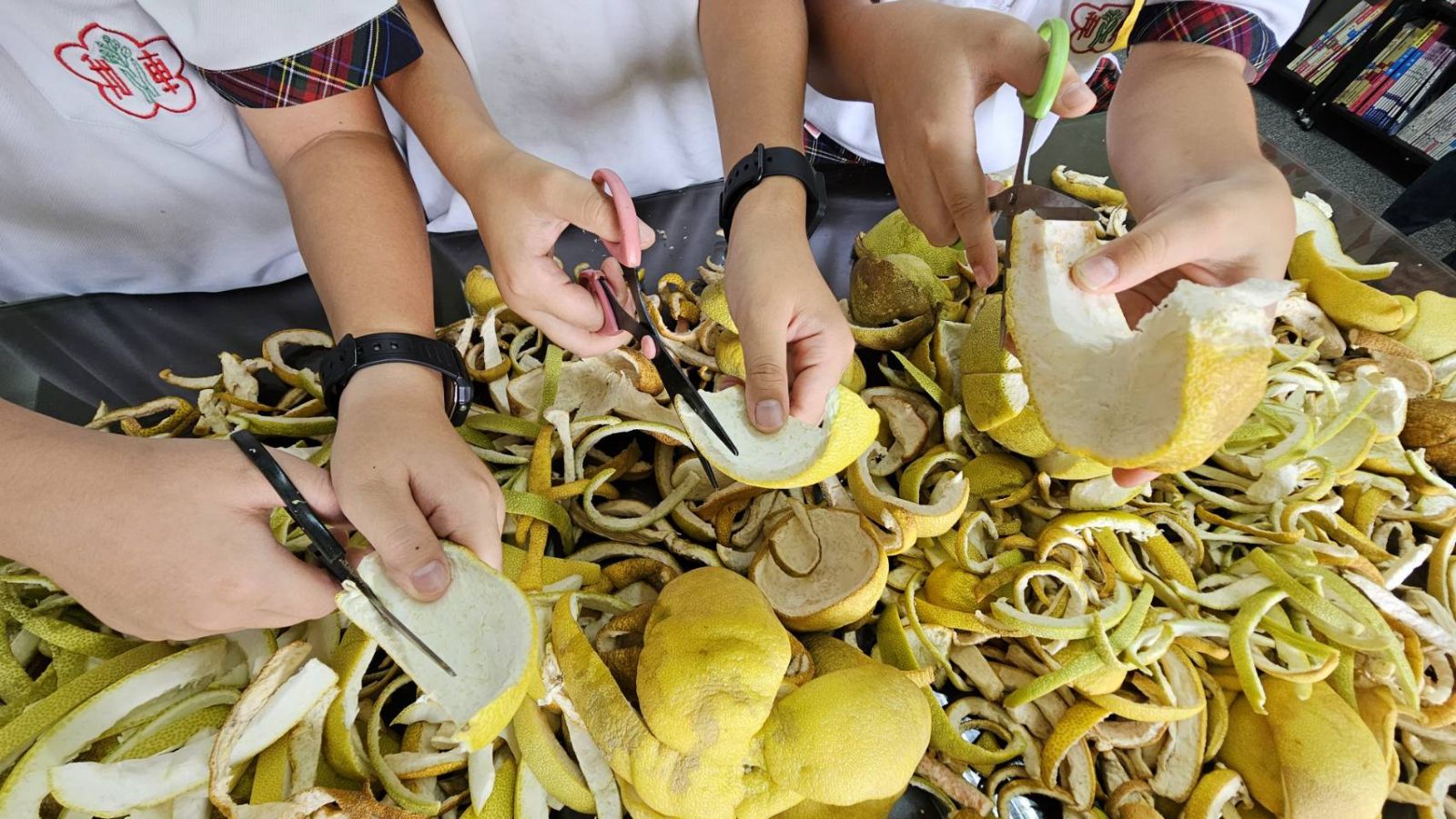 柚子皮再利用！和東國小製作柚皮蚊香　送流浪狗收容園區防蚊 - https://www.watchmedia01.com