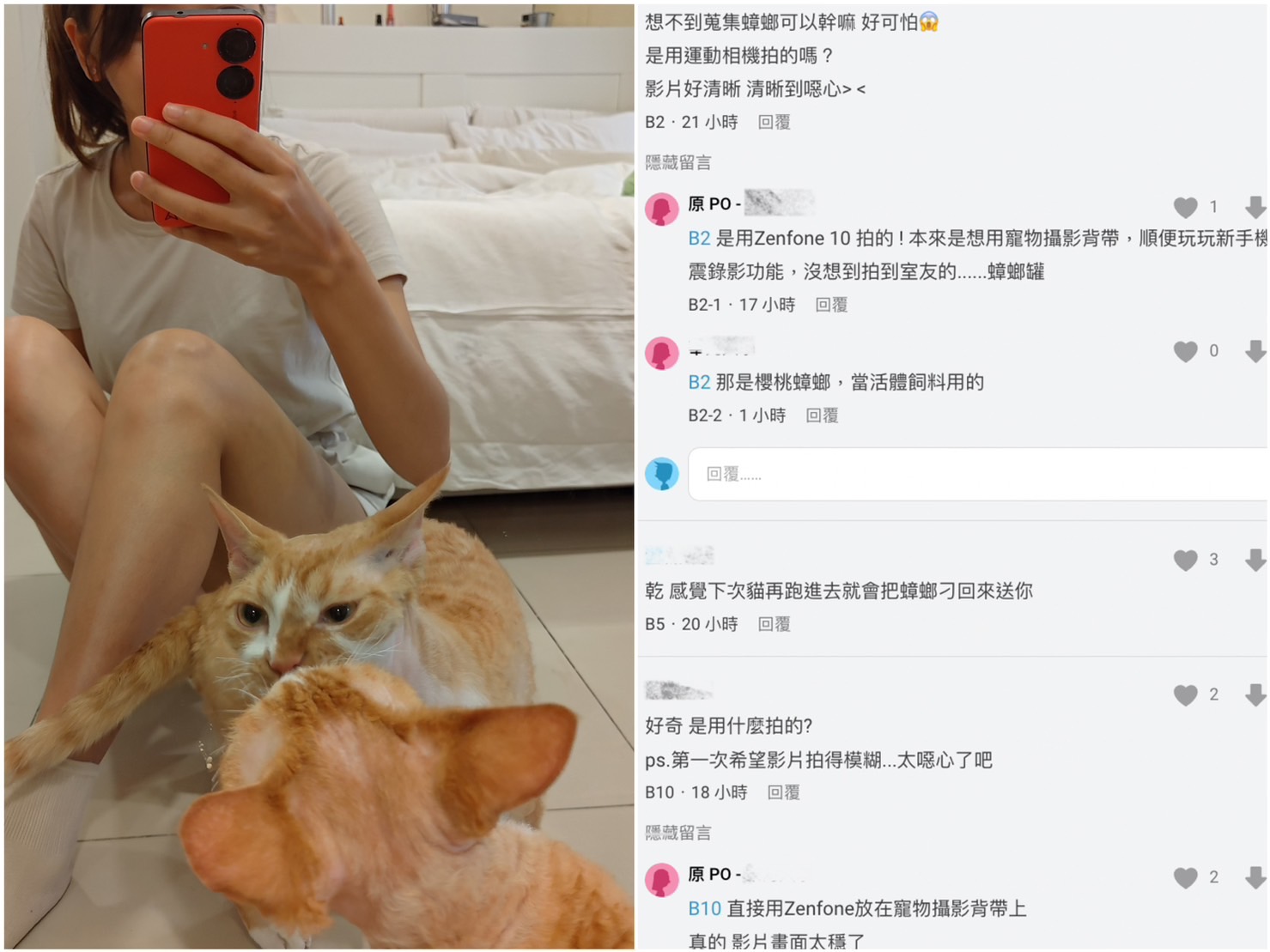 手機貓視角揭露恐怖室友「詭異蒐藏」 網友噴畫質太好受不了 - https://www.watchmedia01.com