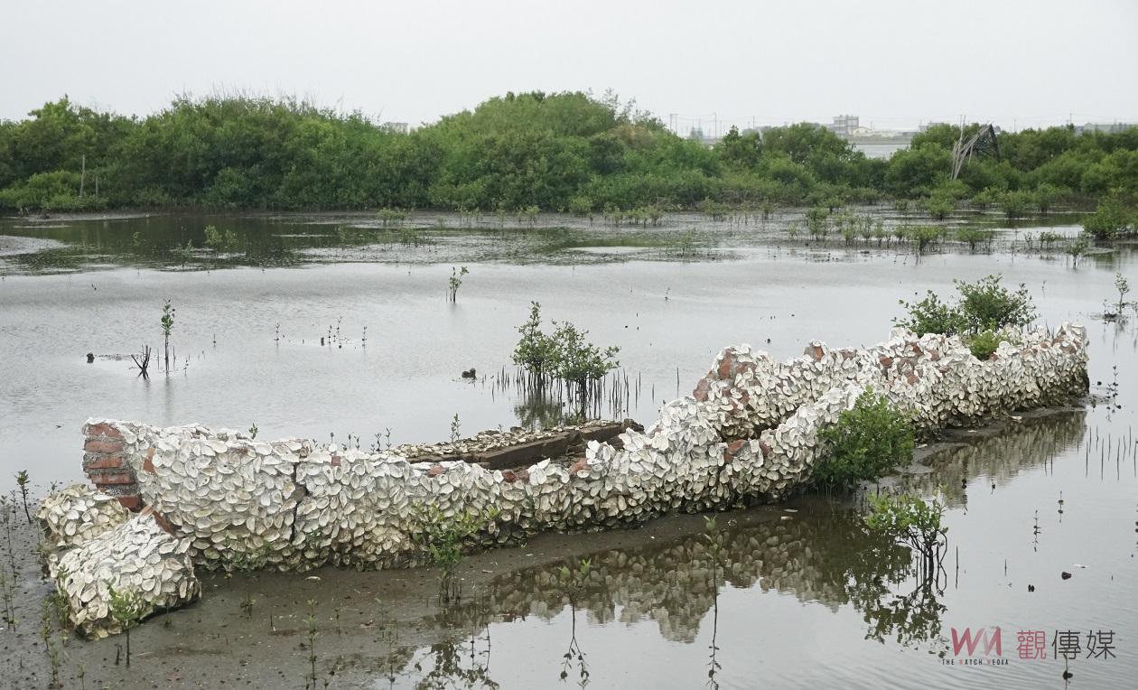 影／成龍溼地流動藝術饗宴14日起登場　張麗善邀全國民眾感受漁村的美麗 - https://www.watchmedia01.com
