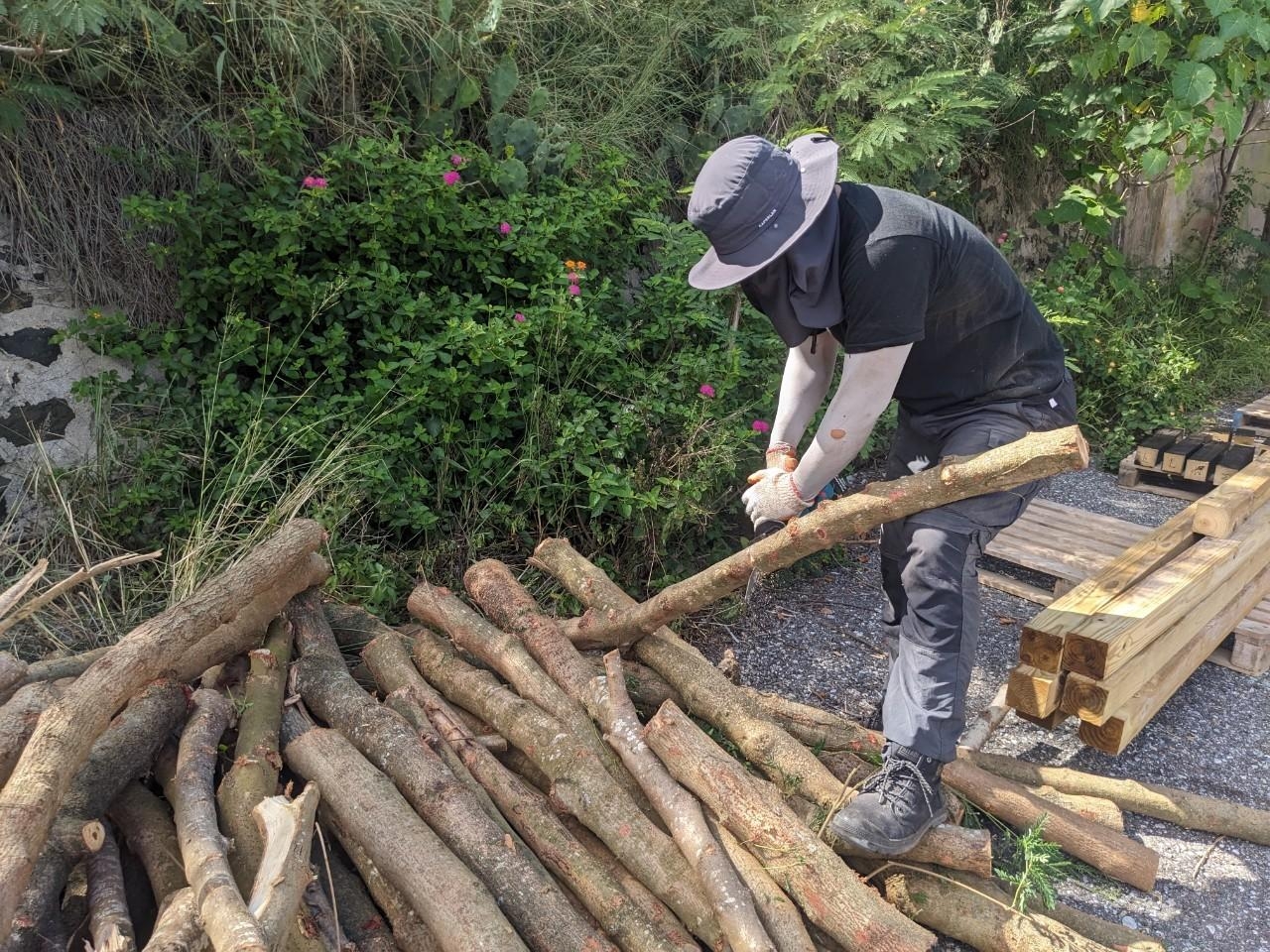 澎湖風情！澎湖國際燈光藝術節　大葉造藝系師生打造守護雕塑 - https://www.watchmedia01.com
