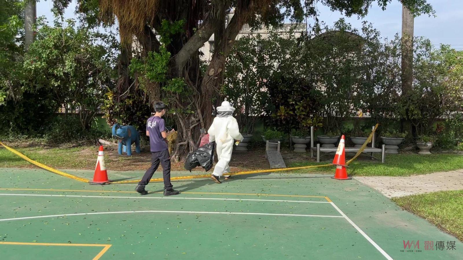 影／小犬颱風強風打落大園國小校園內虎頭蜂窩　校方拉起警戒線 - https://www.watchmedia01.com