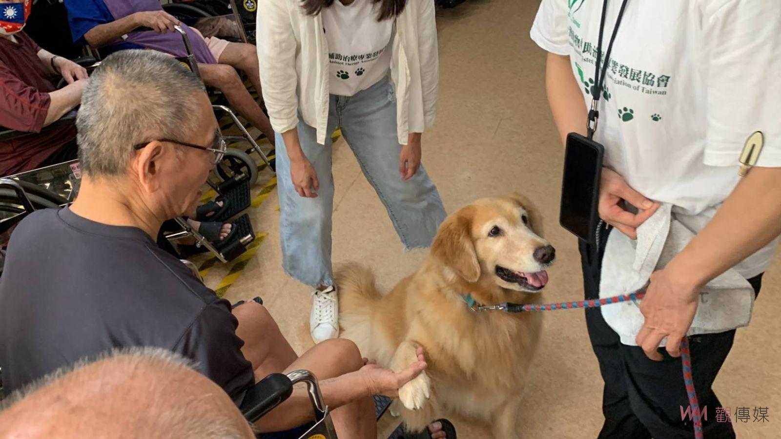 影／毛小孩來彰化榮家耍萌　動物輔助治療住民歡喜迎嬌客撫慰心靈 - https://www.watchmedia01.com