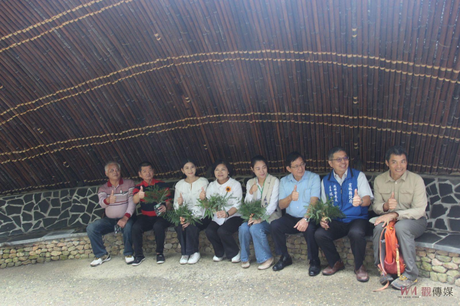 草嶺石壁森林療癒祭開跑 歡迎走進山林踏香森呼吸 - https://www.watchmedia01.com