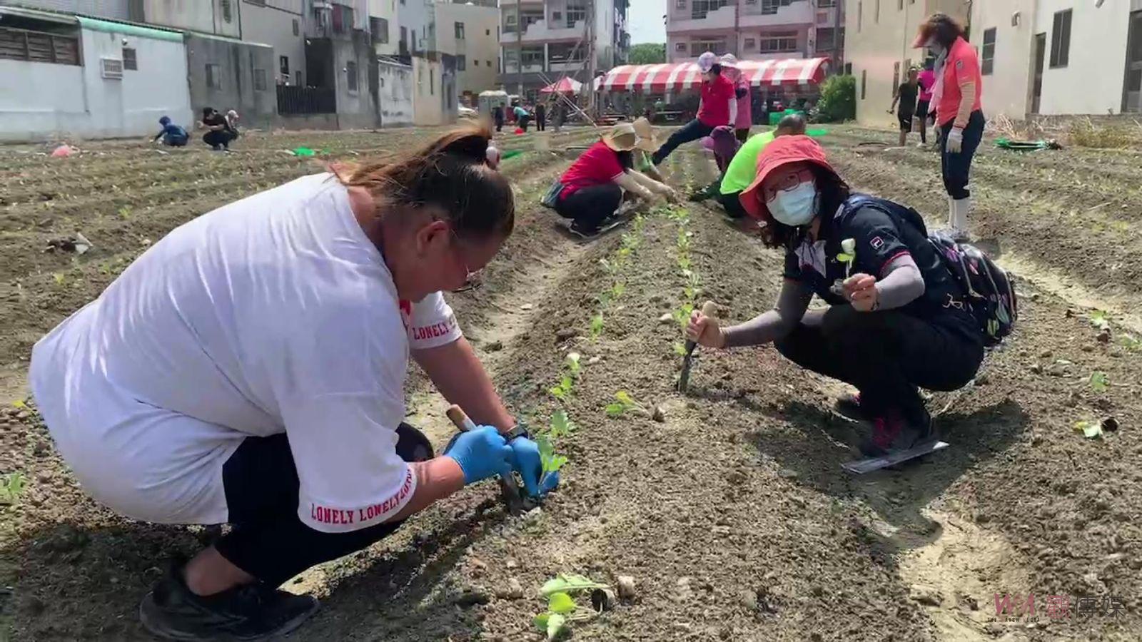 影／北斗鎮民開心農場開種　60名鎮民農夫種植青花菜、結頭菜 - https://www.watchmedia01.com