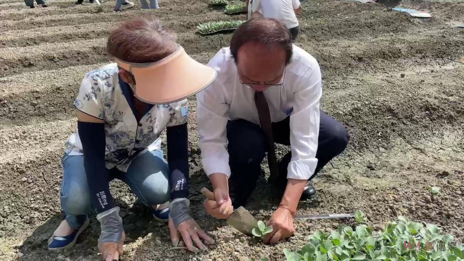 影／北斗鎮民開心農場開種　60名鎮民農夫種植青花菜、結頭菜 - https://www.watchmedia01.com