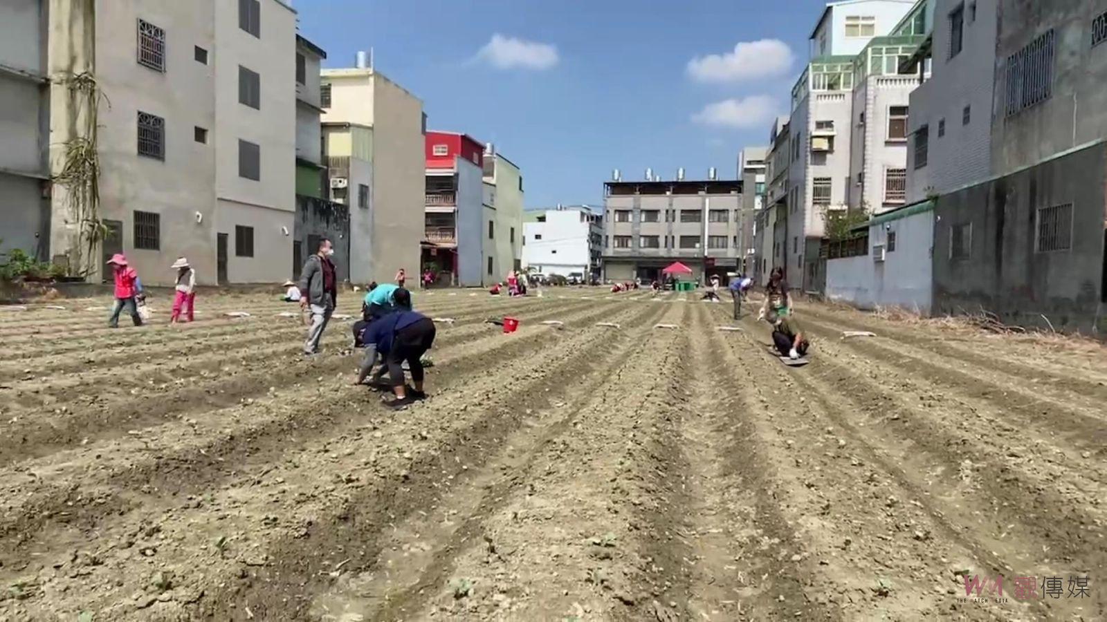 影／北斗鎮民開心農場開種　60名鎮民農夫種植青花菜、結頭菜 - https://www.watchmedia01.com