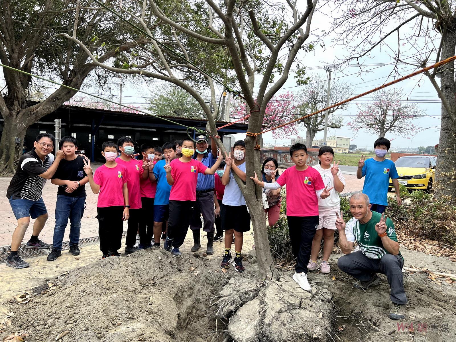影／重生的象徵　志工帶領學校師生合力搶救校園迎賓樹 - https://www.watchmedia01.com
