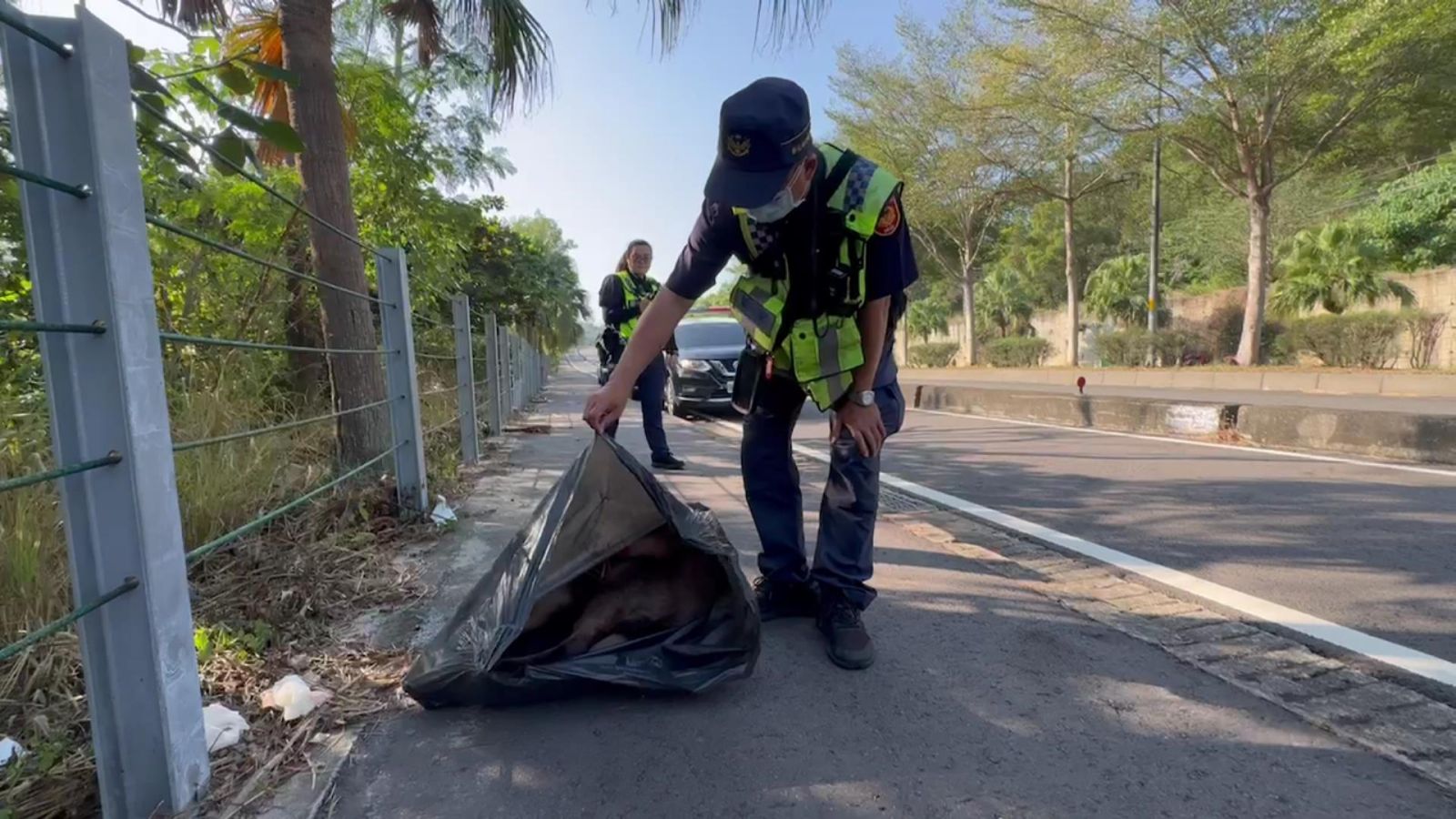 影／又見鹿（路）殺！台74線樹林竄出一頭水鹿遭貨車撞斃 - https://www.watchmedia01.com