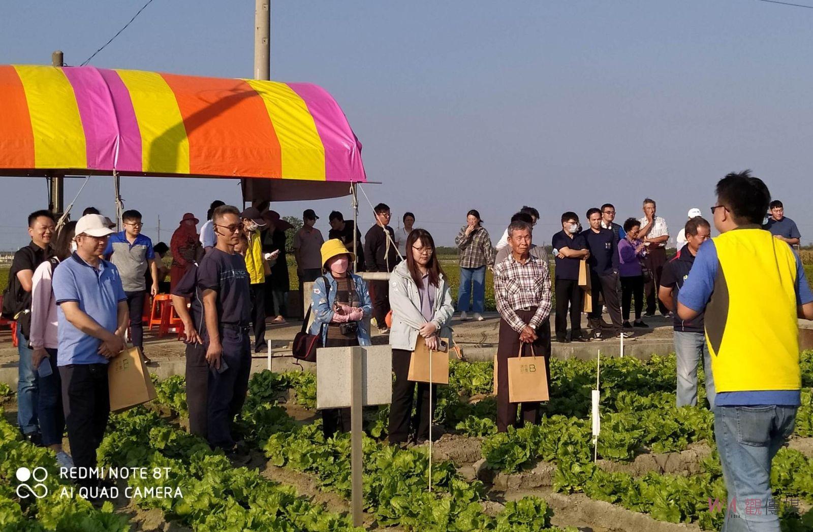 褒忠鄉友善契作新品牌崛起　結球萵苣冷鏈貯藏技術展現 - https://www.watchmedia01.com