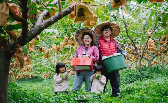 最夯的玩法!藍皮解憂號走訪山海美景與食農教育 - https://www.watchmedia01.com