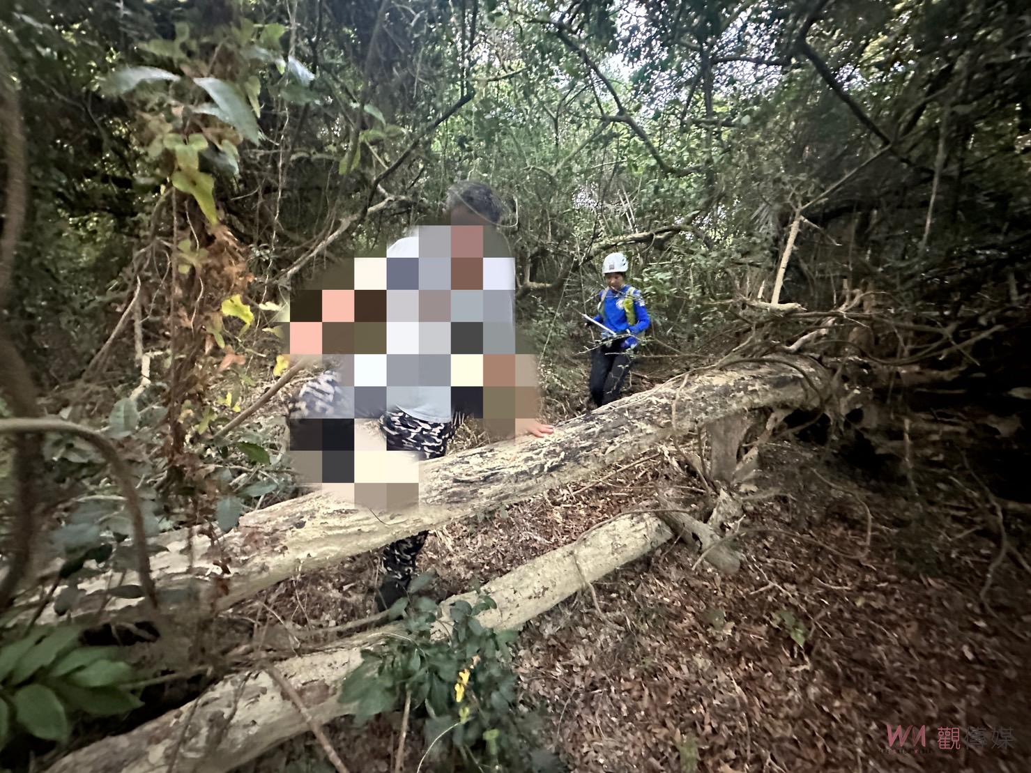 快訊／又傳意外！高雄老翁獨行柴壽山困《刺竹林》獲救 山友群：主管機關須重視 - https://www.watchmedia01.com