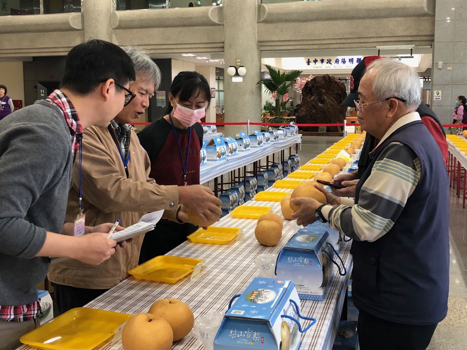 中市優質雪梨果品評鑑 黃正杰勇奪今年度雪梨王 - https://www.watchmedia01.com
