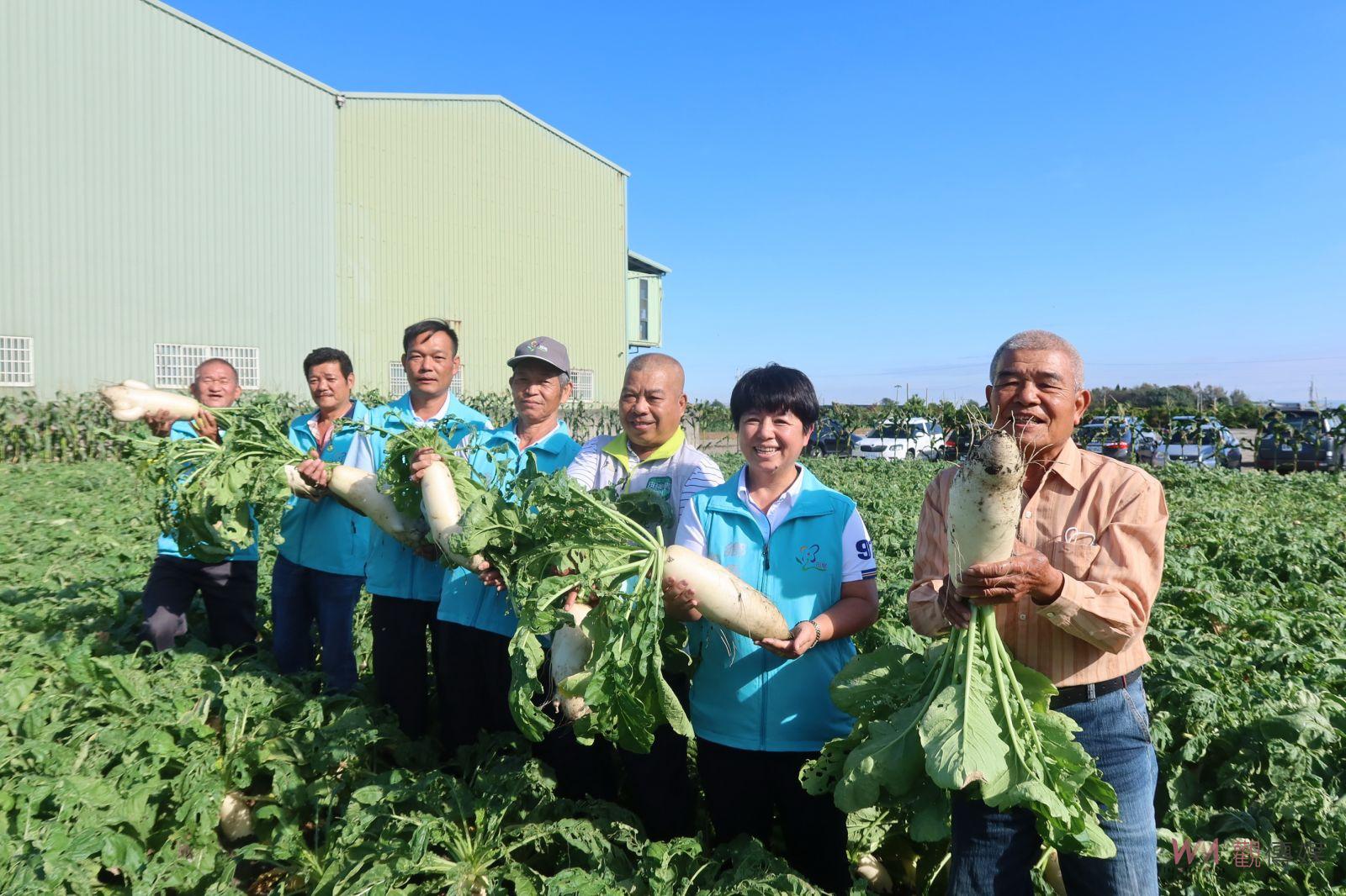 （有影片）／嘿喲、嘿喲、拔蘿蔔！田尾鄉客家蘿蔔節　冬日豐收歡樂登場 - https://www.watchmedia01.com