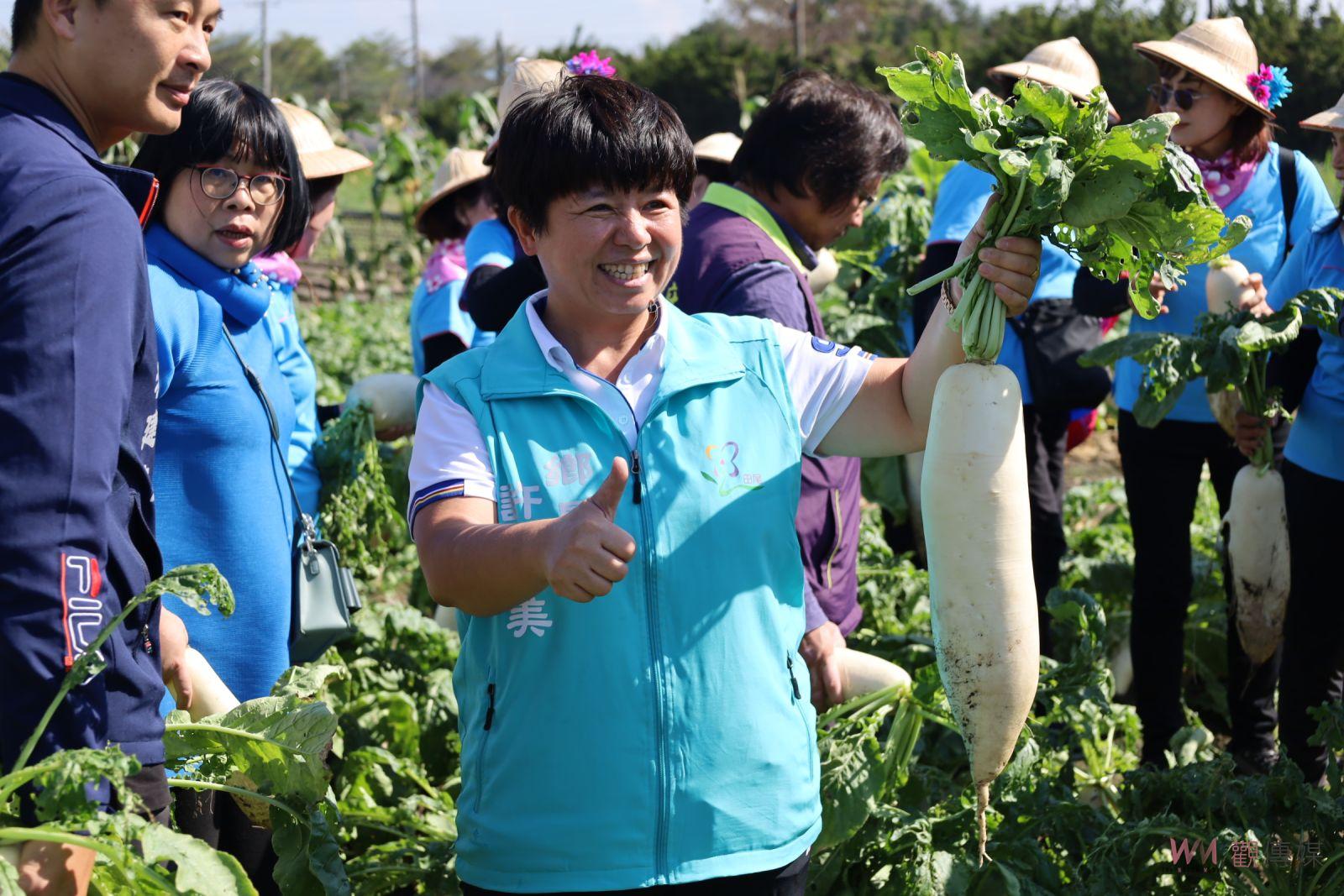 （有影片）／嘿喲、嘿喲、拔蘿蔔！田尾鄉客家蘿蔔節　冬日豐收歡樂登場 - https://www.watchmedia01.com