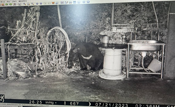 南投縣仁愛鄉賽德克族四村共管會上頒發居民黑熊生態給付獎勵 - https://www.watchmedia01.com
