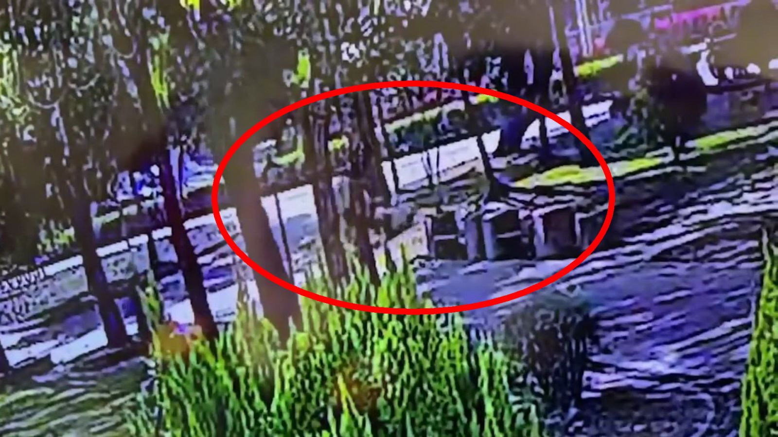 （有影片）／員林公園驚現血腥事件　男子持菜刀隨機砍人　3名女遊客受傷 - https://www.watchmedia01.com