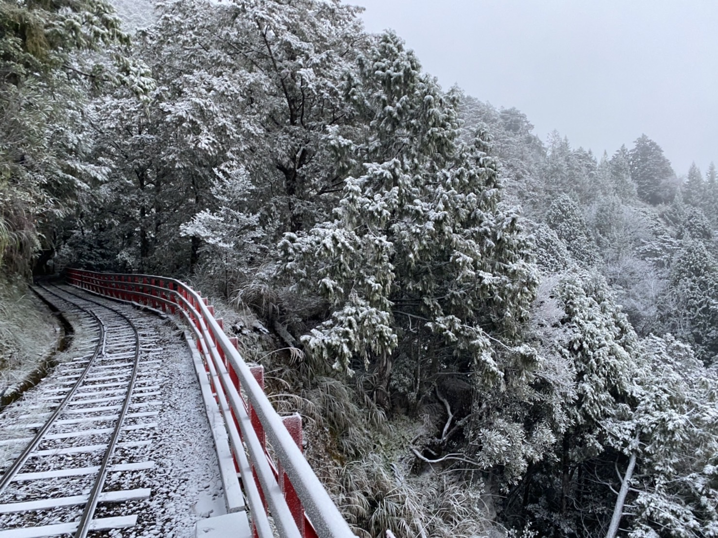 冬至日冷颼颼 太平山降下今年第一場瑞雪 - https://www.watchmedia01.com