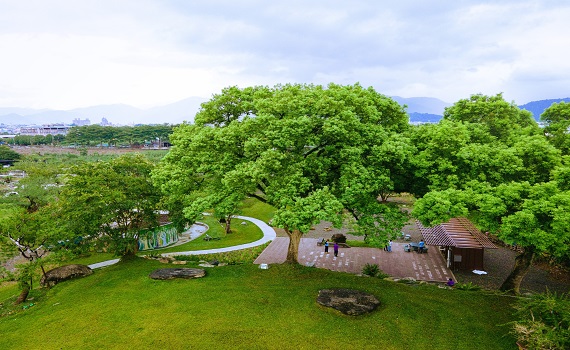 金牌農村南投縣埔里鎮珠仔山社區添金質榮耀 - https://www.watchmedia01.com