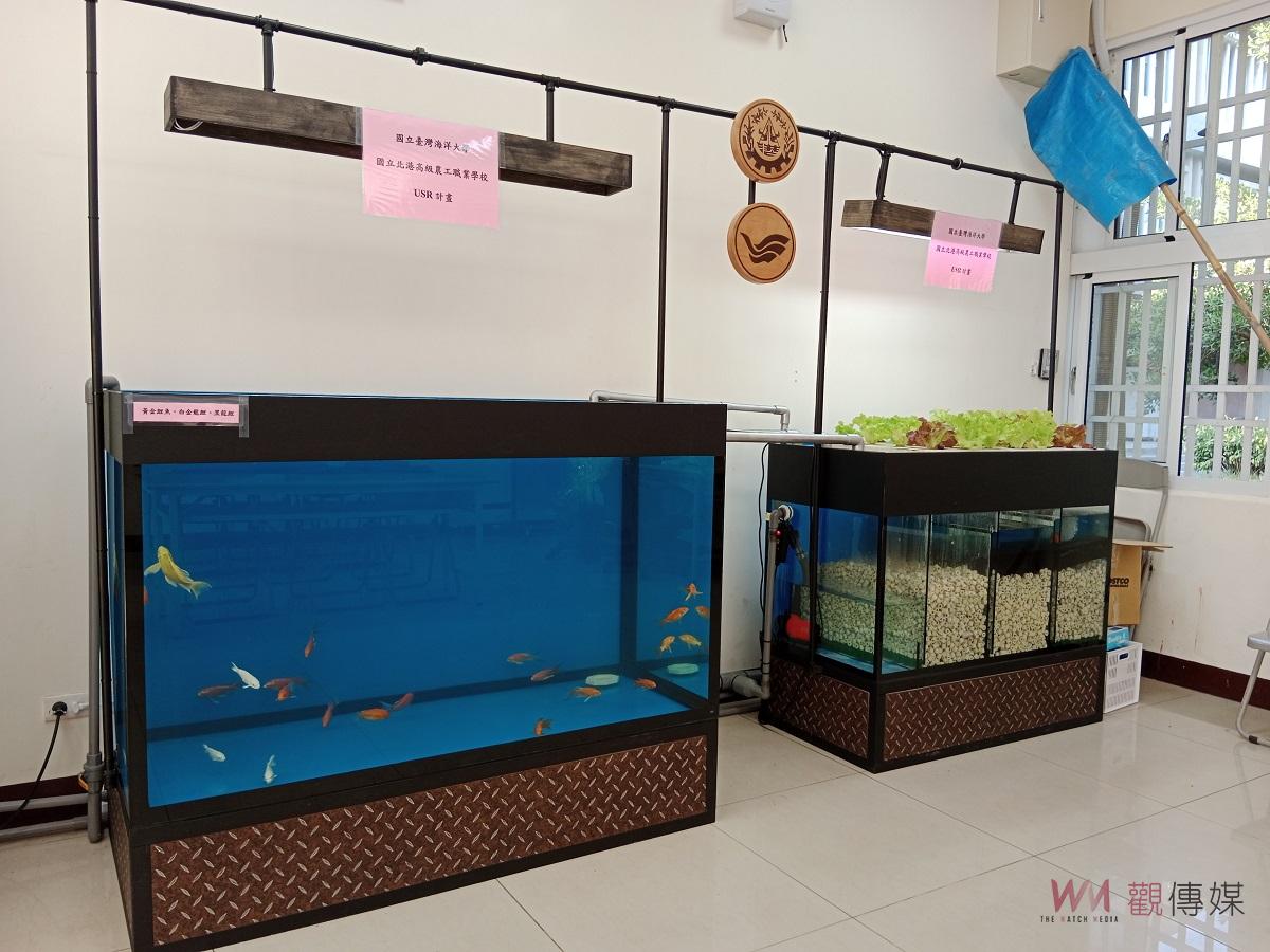 （有影片）／北港農工與臺灣海洋大學合作 永續海洋資源教室揭牌啟用 - https://www.watchmedia01.com