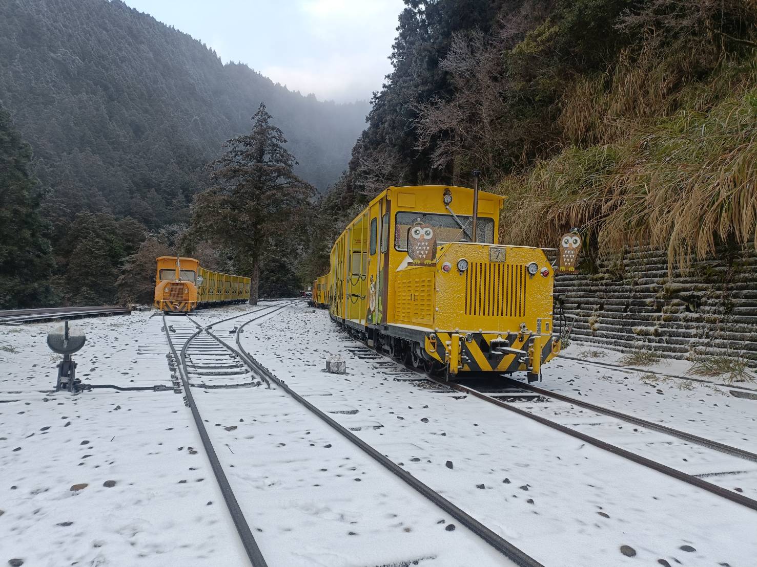 太平山23日凌晨開始下雪 目前積雪已達1公分 - https://www.watchmedia01.com