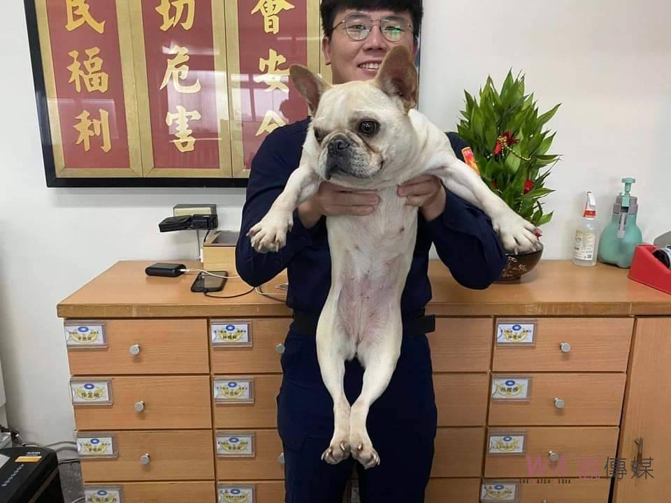 法國鬥牛犬街頭徘徊 四湖警與民防機警找到失主 - https://www.watchmedia01.com