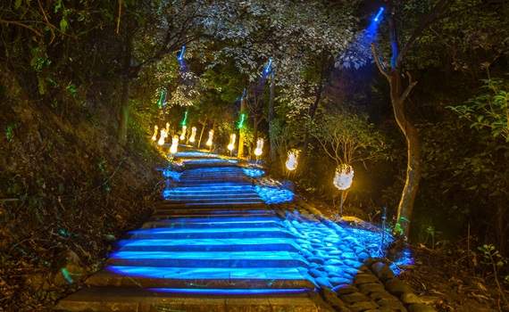 高樹奇幻大津龍重登場　最美光影瀑布點亮山林 - https://www.watchmedia01.com