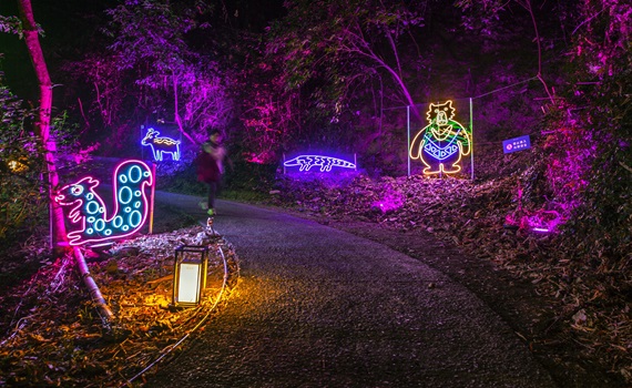 高樹奇幻大津龍重登場　最美光影瀑布點亮山林 - https://www.watchmedia01.com