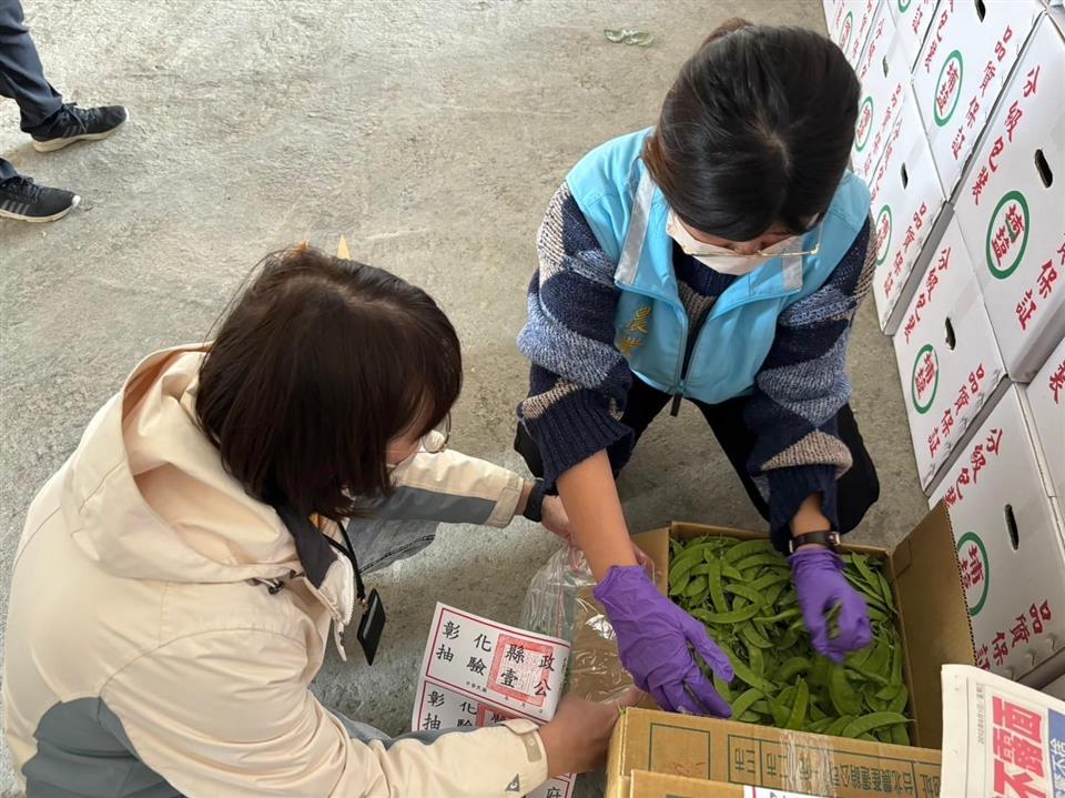 彰化縣政府擴大農藥殘留抽查豌豆不合格居榜首 - https://www.watchmedia01.com