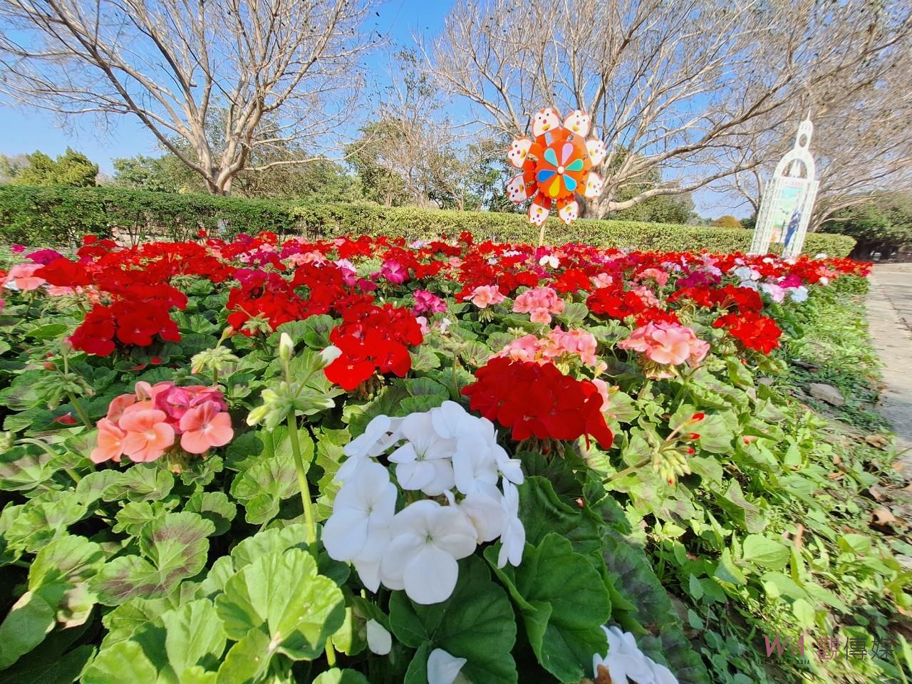（有影片）／春節連假趴趴走　白天賞花‧夜間賞燈　彰化走春過新年 - https://www.watchmedia01.com