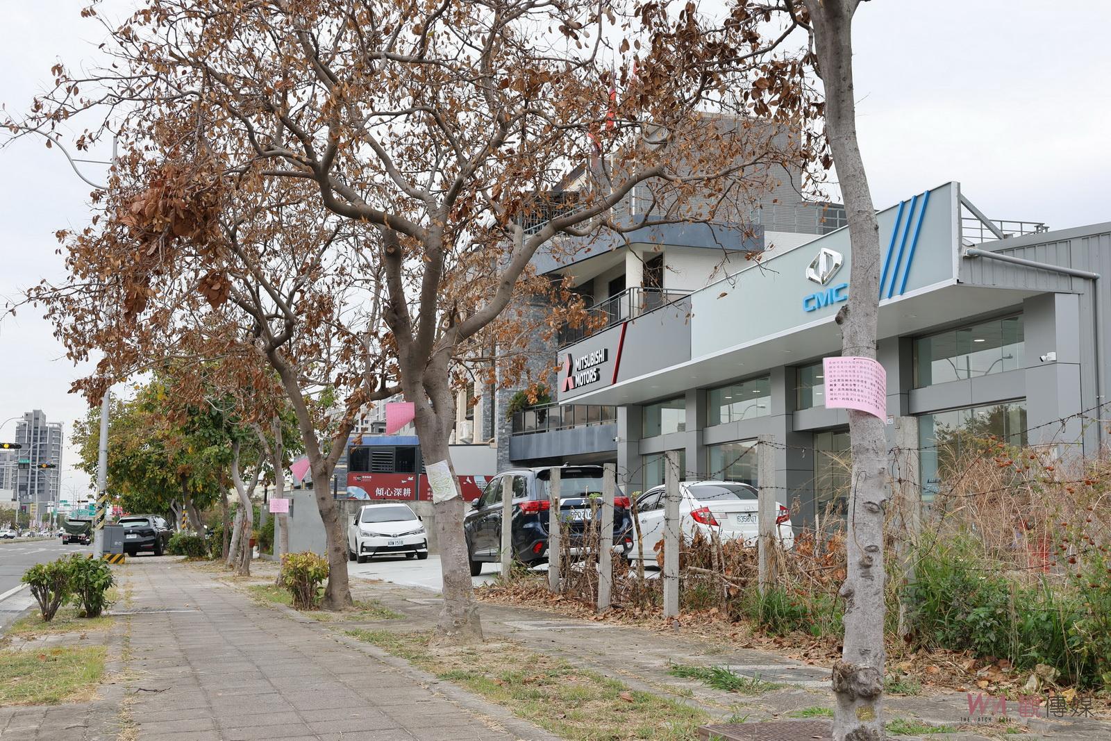 （有影片）／員林行道樹遭「毒殺」奪命　包商不滿落葉影響工程灶因 - https://www.watchmedia01.com