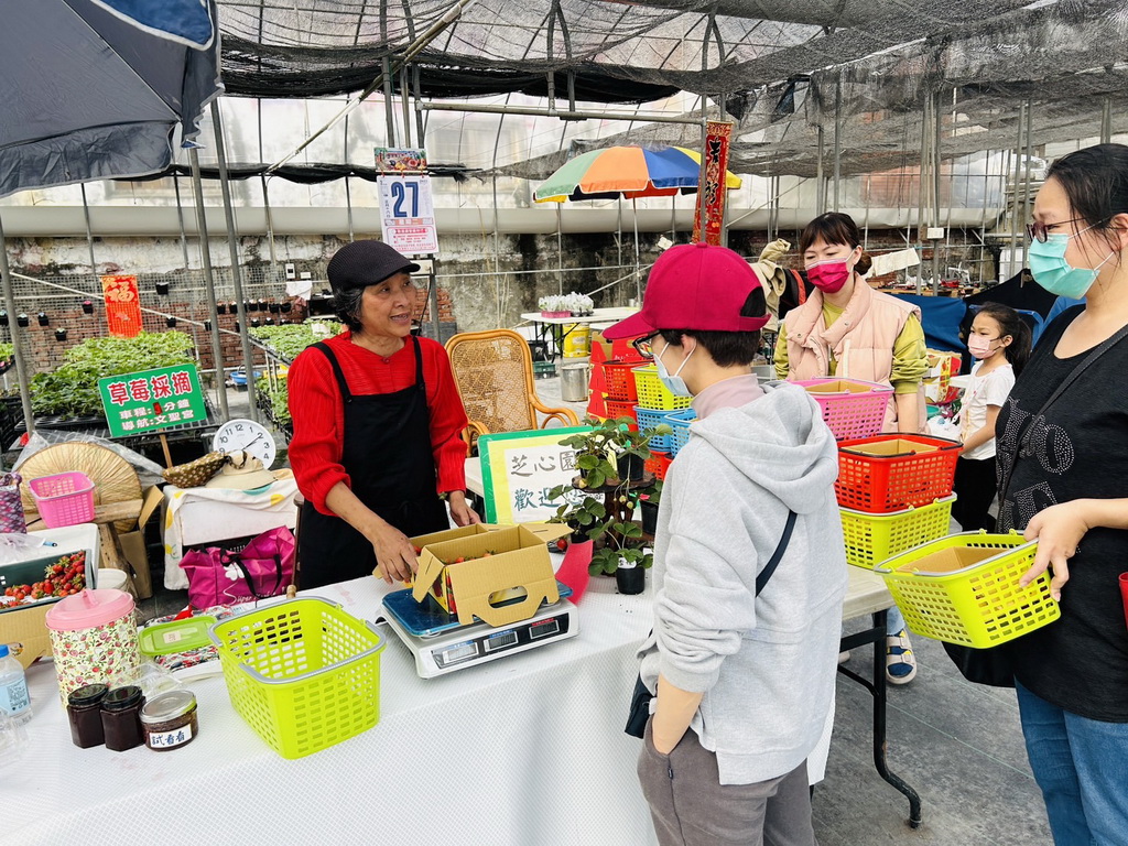 草莓姐姐鐘雪玲在社頭種草莓 引進歐日系種苗鼓勵民眾在家當草莓族 - https://www.watchmedia01.com